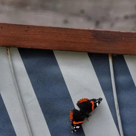 Wiesenau 2 In By Restaurant Wiesenau Apartmán Prerow